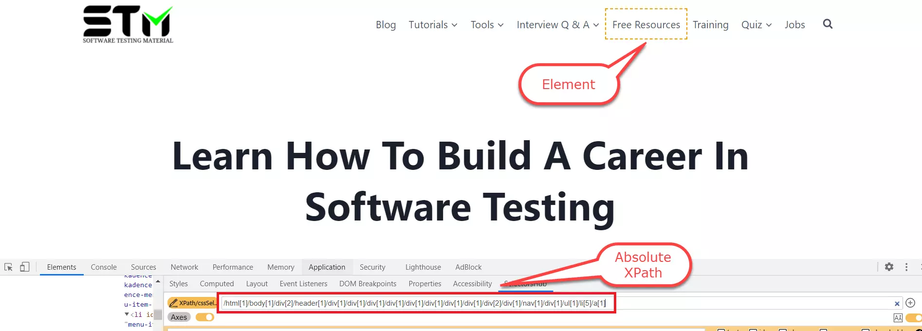 Absolute XPath In Selenium