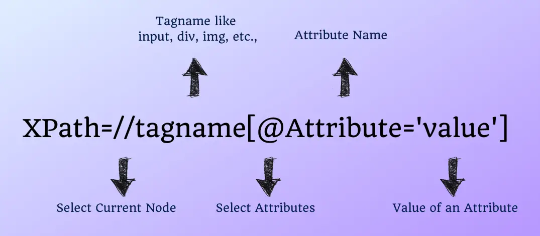 XPath In Selenium