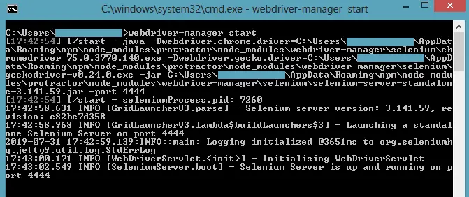 WebDriver Manager Start