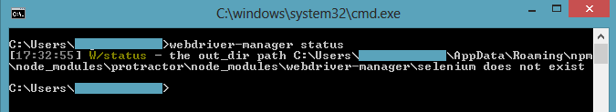 Webdriver Manager Status