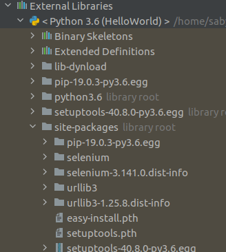 External Libraries Path