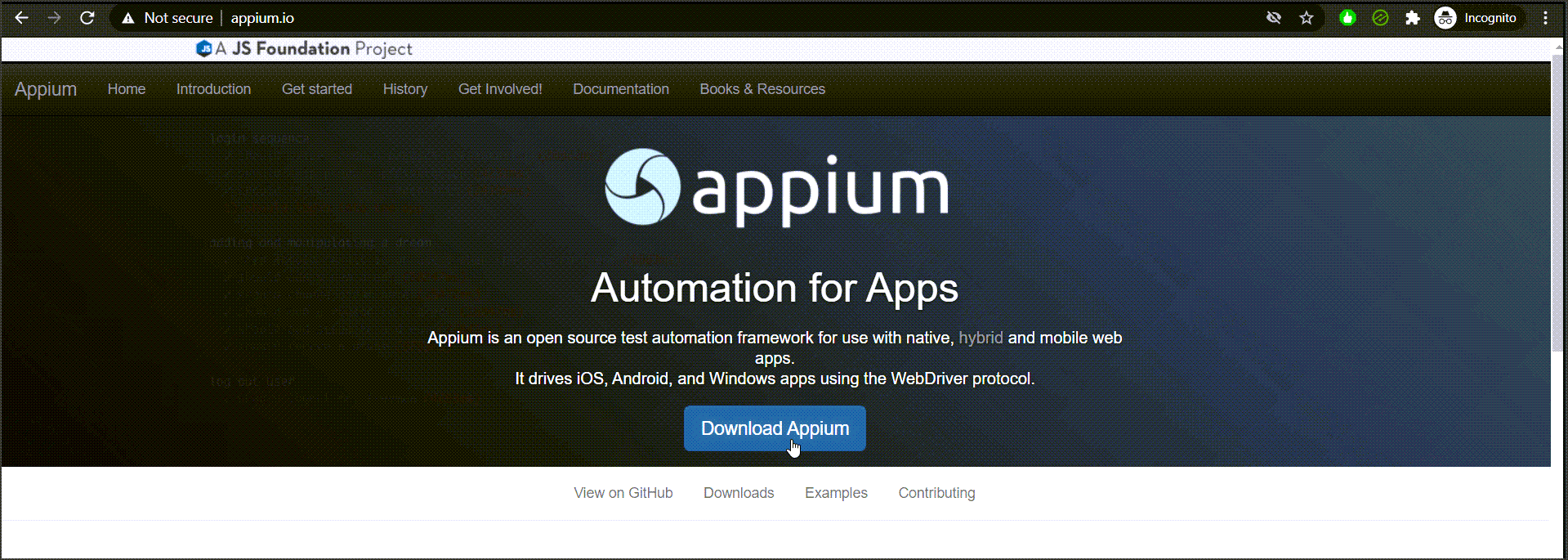 Appium Desktop Client