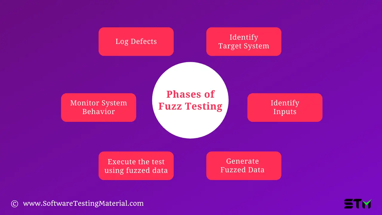 Phases of Fuzz Testing