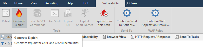 Netsparker Standard Vulnerability Reports