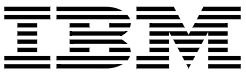 IBM Logo