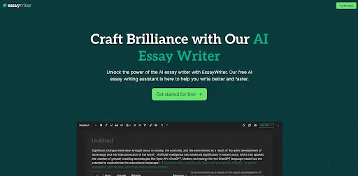 EssayWriter